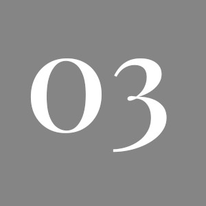 03 1